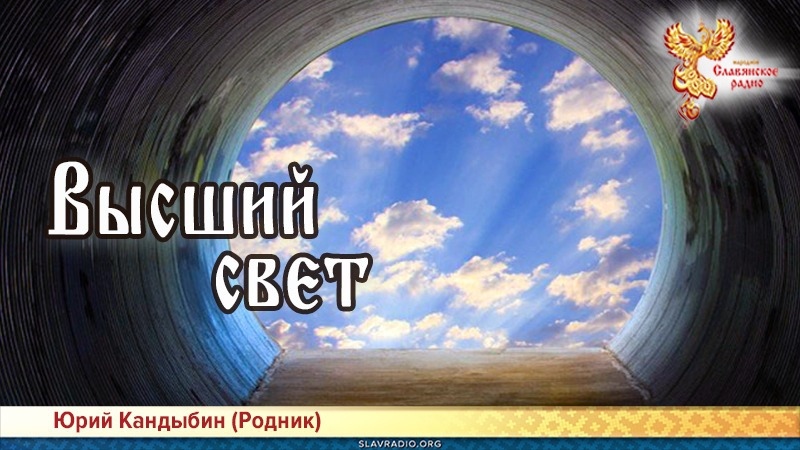 Высший свет 