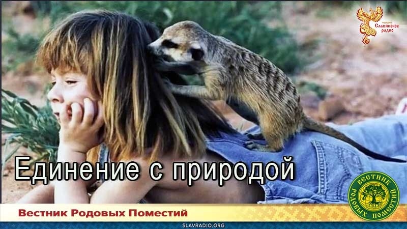 Единение с природой