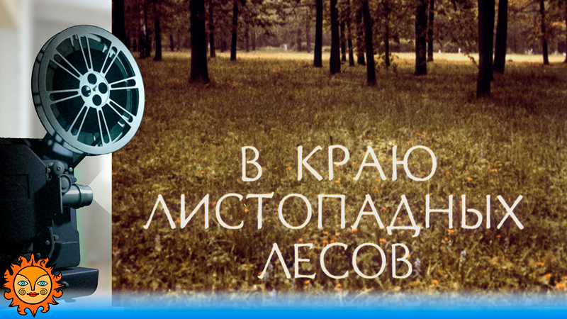 В краю листопадных лесов