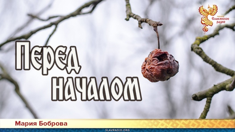 Перед началом 