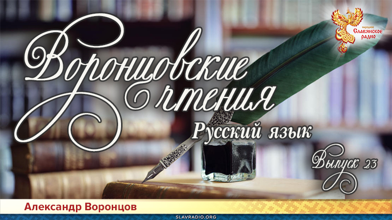 Воронцовские чтения. Выпуск №23