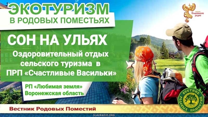 Сон на ульях