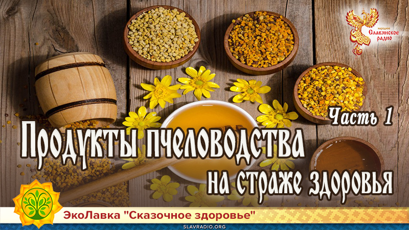 Продукты пчеловодства на страже здоровья. Часть 1