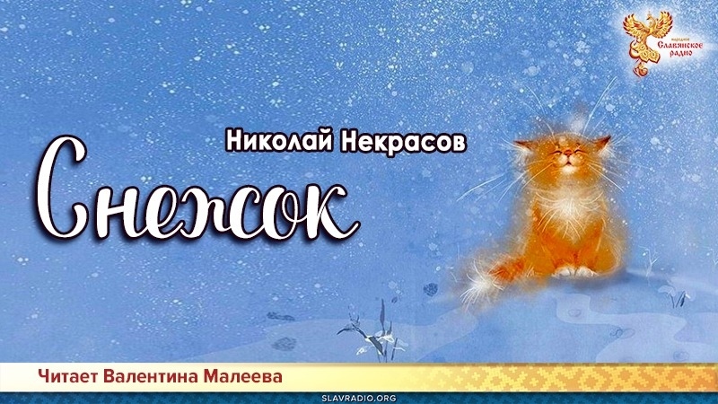 Снежок 