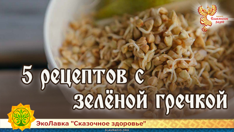 5 самых вкусных и полезных рецептов с зелёной гречкой