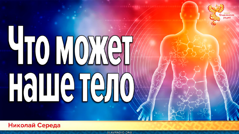 Что может наше тело