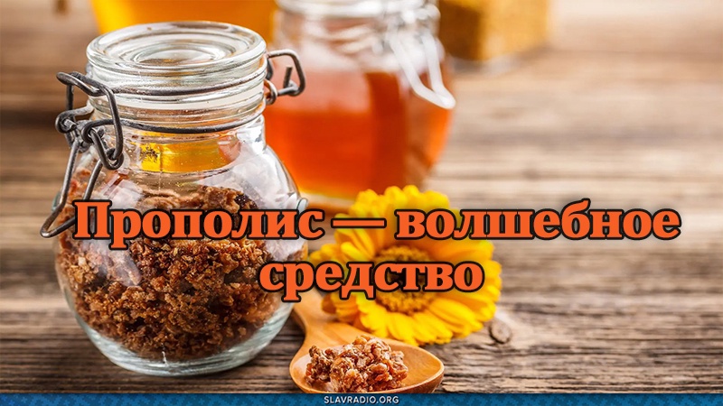 Профессор Неумывакин: прополис &mdash; волшебное средство