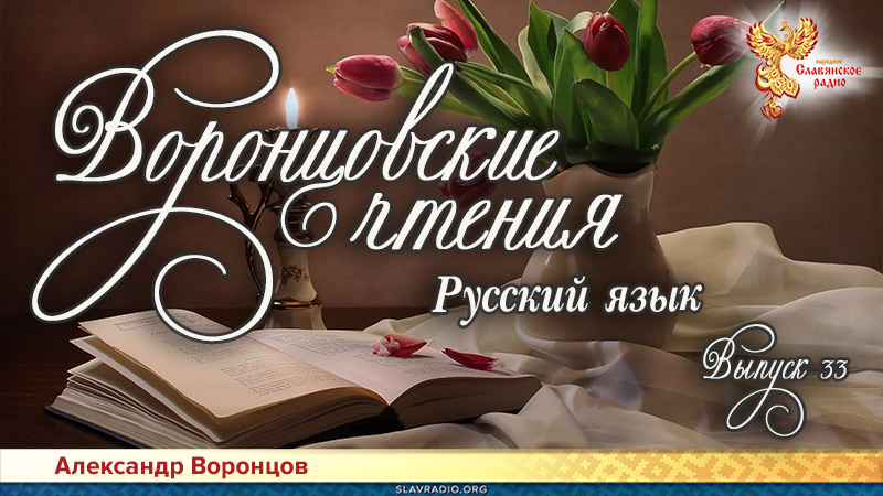 Воронцовские чтения. Выпуск № 33