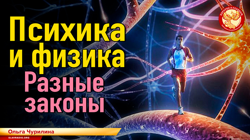 Психика и физика. Разные законы