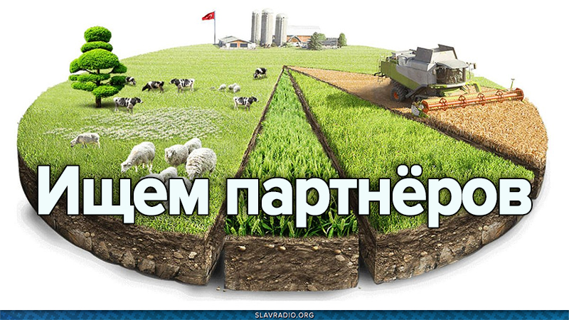 Ищем партнёров 