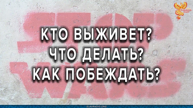 Кто выживет? Что делать? Как побеждать?