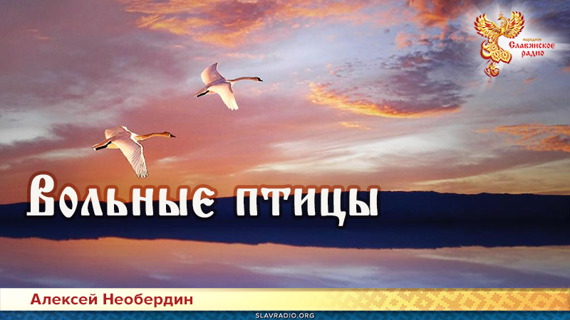 Вольные птицы