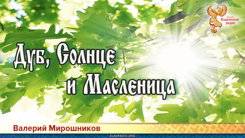 Дуб, Солнце и Масленица