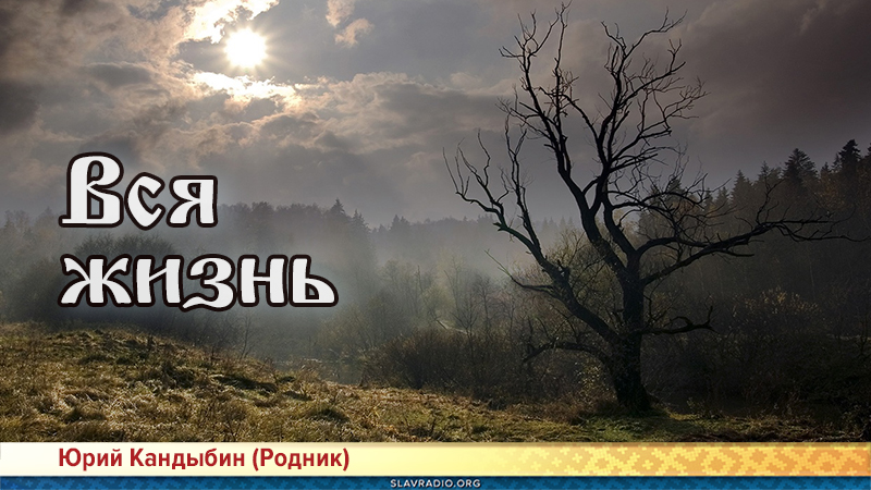 Вся жизнь 
