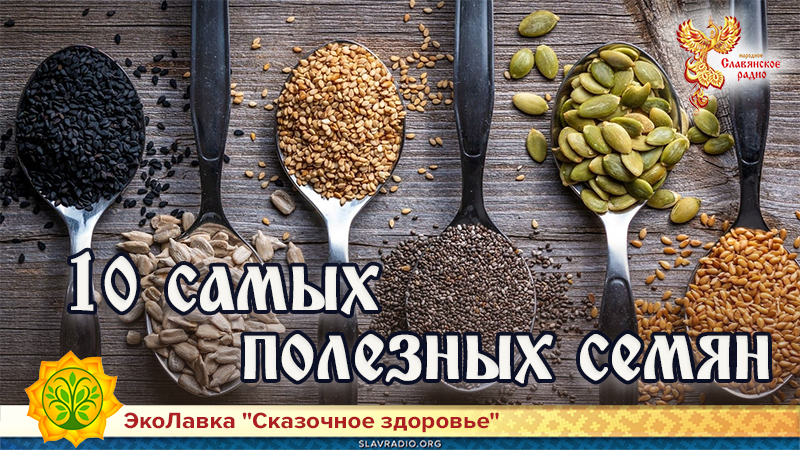 10 самых полезных для человека семян