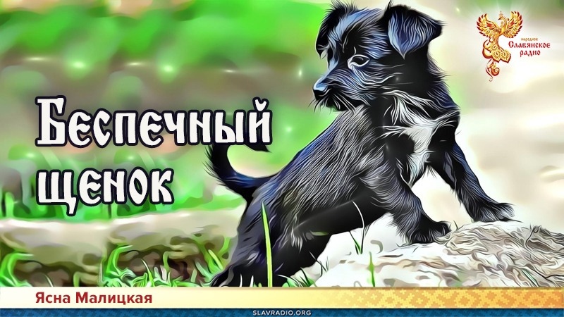 Беспечный щенок