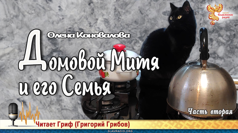 Домовой Митя и его Семья. Часть вторая