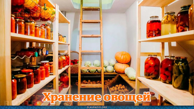 Хранение овощей