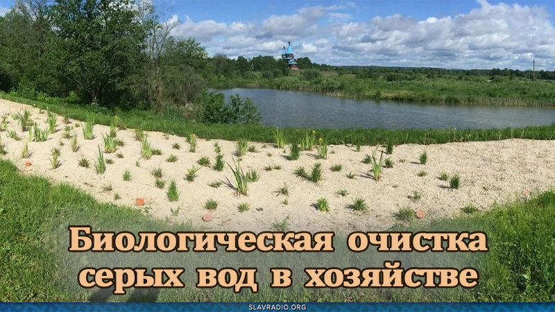 Биологическая очистка серых вод в хозяйстве