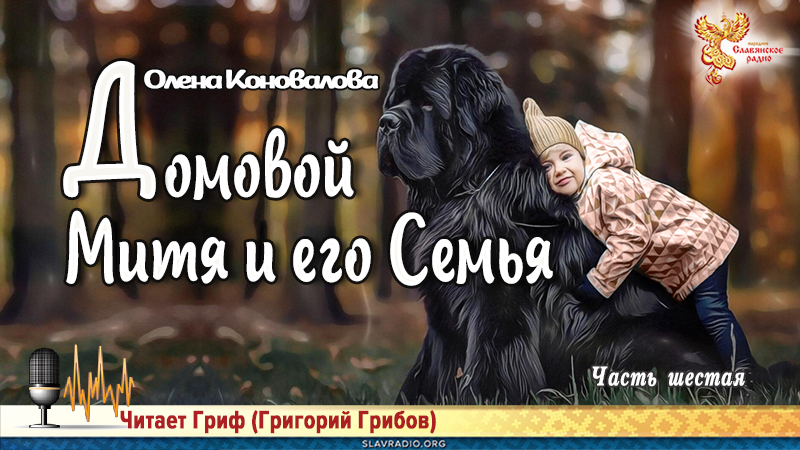 Домовой Митя и его Семья. Часть шестая