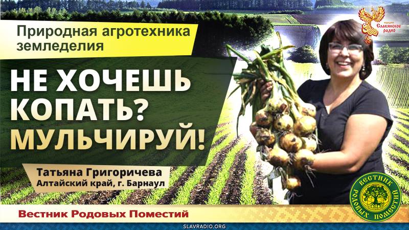 Не хочешь копать? Мульчируй!