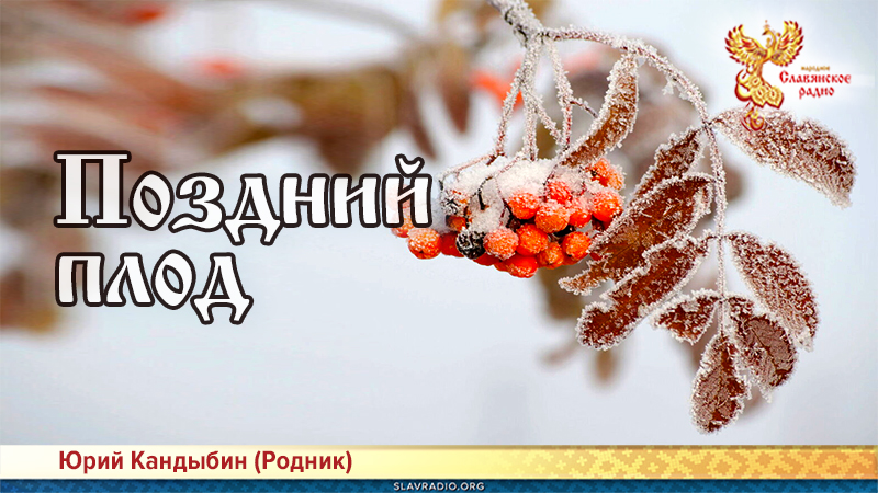 Поздний плод 