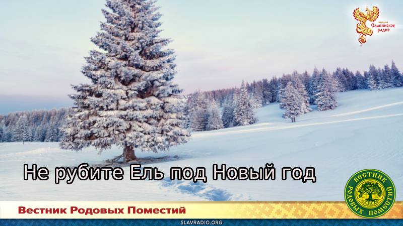 Не рубите Ель под Новый год