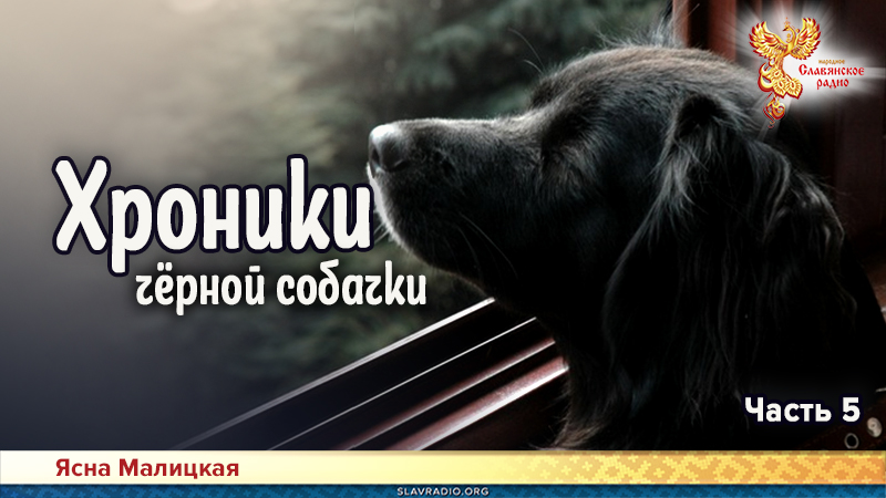 Хроники чёрной собачки. Часть  5