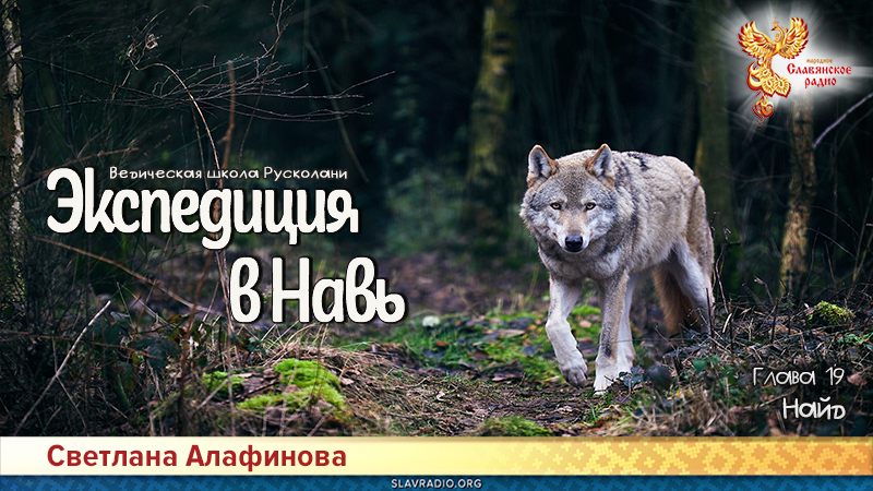 Ведическая школа Русколани. Экспедиция в Навь. Глава 19