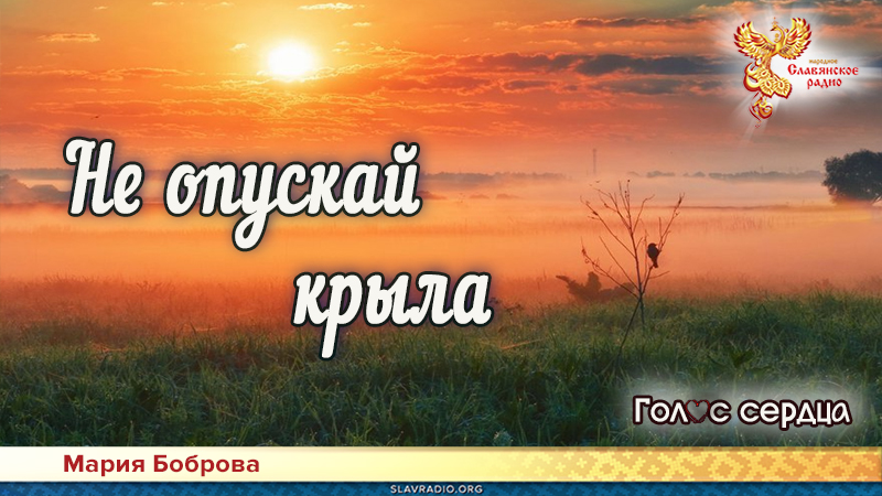 Не опускай крыла