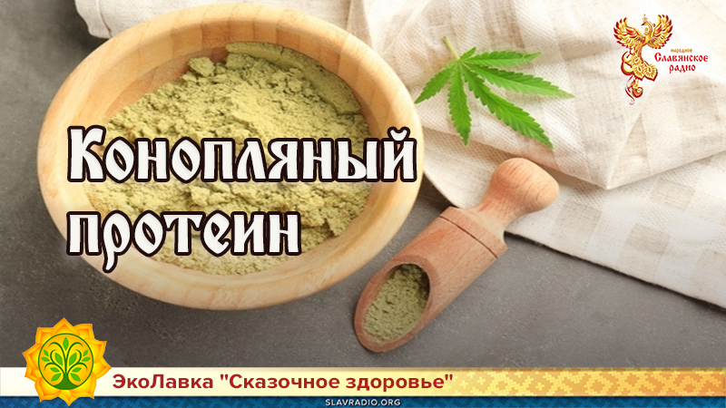 Конопляный протеин