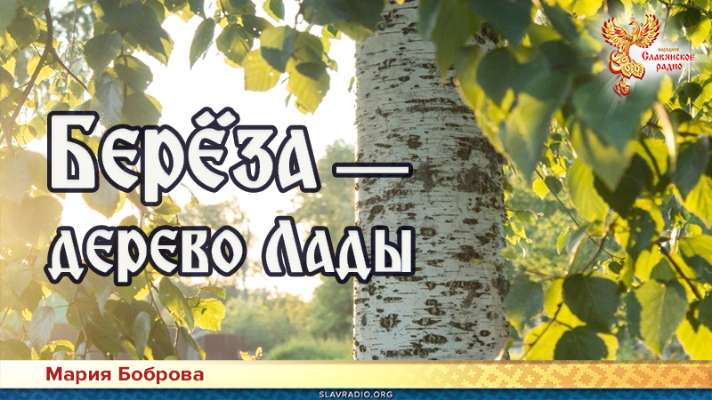 Берёза &mdash; дерево Лады