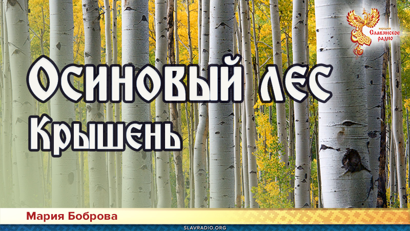 Осиновый лес. Крышень