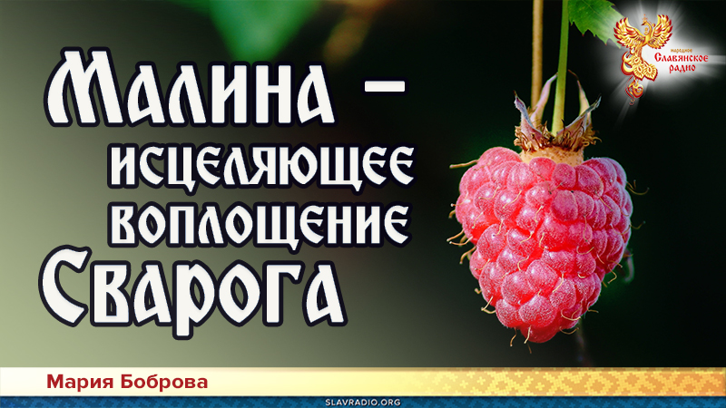 Малина &mdash; исцеляющее воплощение Сварога
