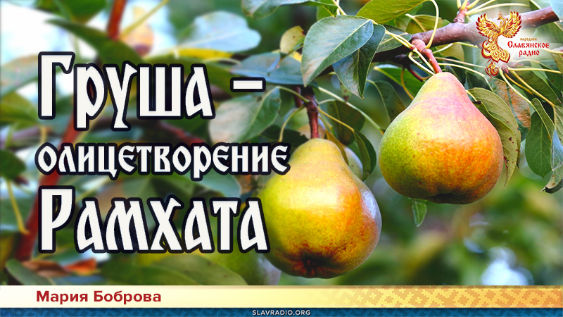 Груша &mdash; олицетворение Рамхата