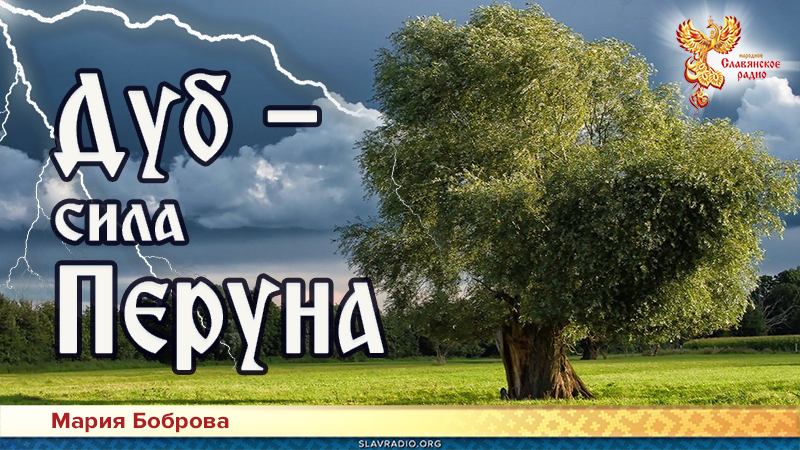 Дуб &mdash; сила Перуна