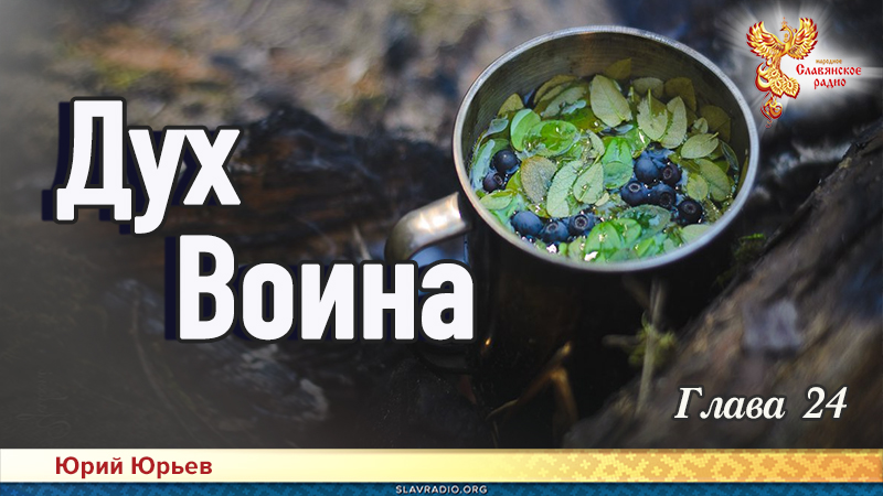 Дух воина. Часть вторая. Глава 24