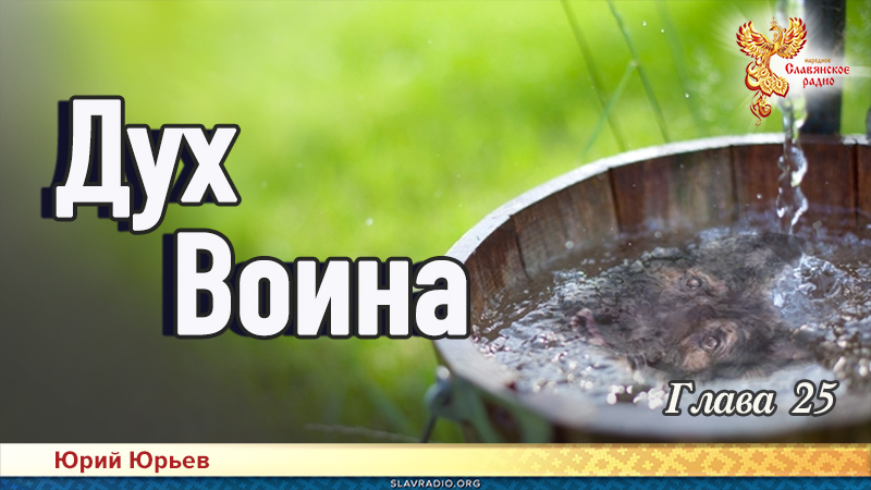 Дух воина. Глава 25