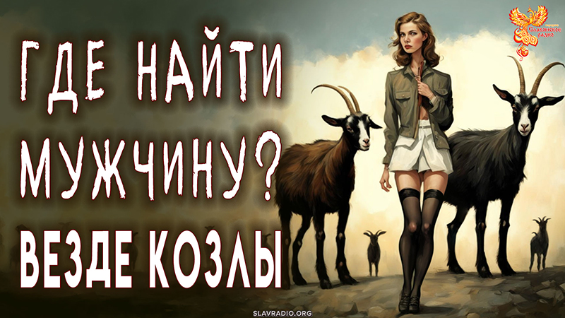 Где найти мужчину? Везде одни козлы!