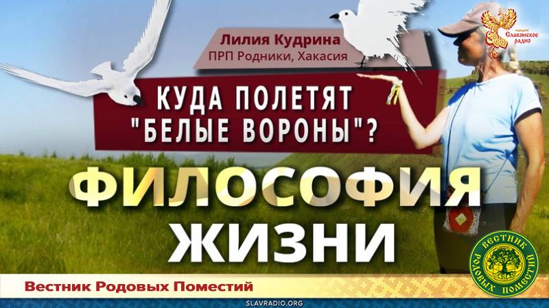 Куда полетят "белые вороны"?