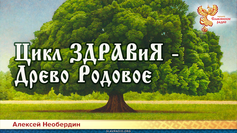Цикл ЗДРАВиЯ &mdash; Древо Родовое