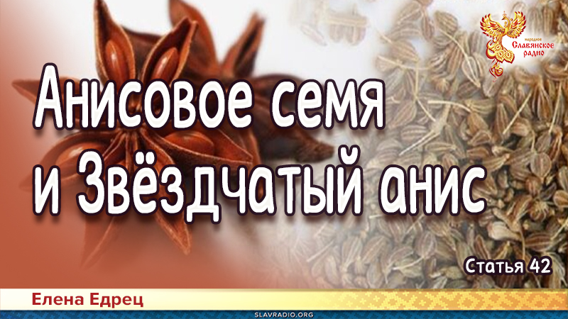 Анисовое семя и Звёздчатый анис 
