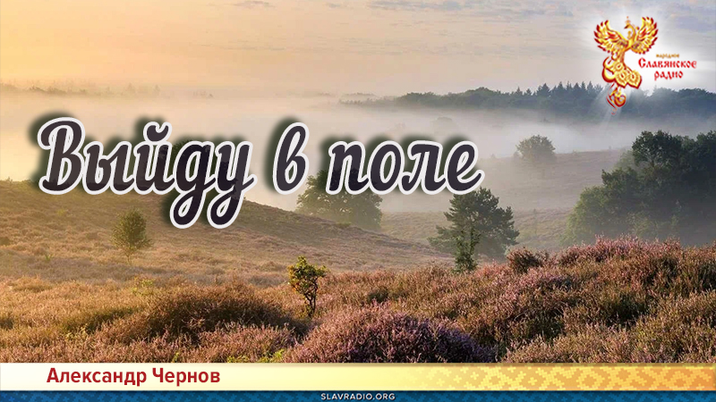 Выйду в поле 