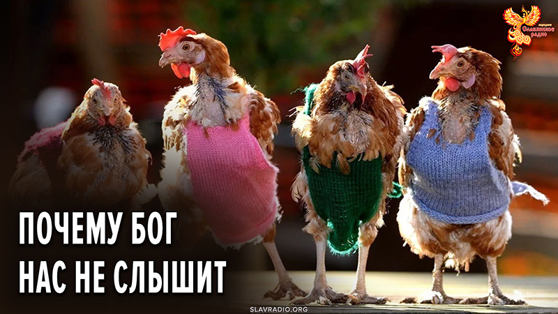 Почему бог нас не слышит?