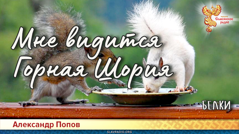 Мне видится Горная Шория. Белки