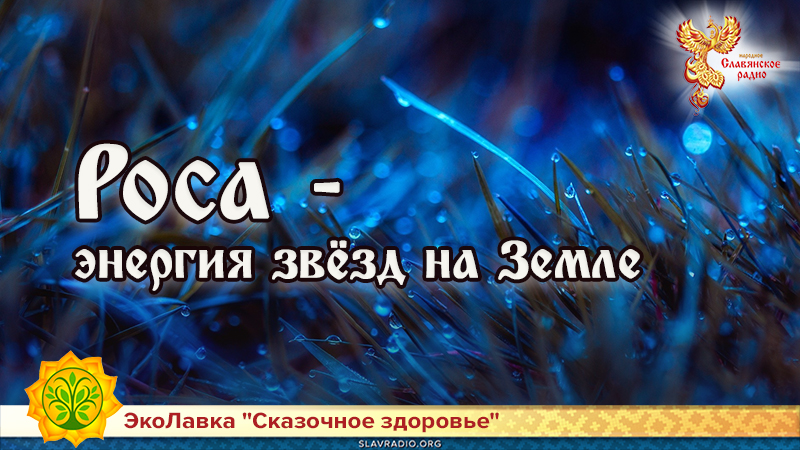 Роса &ndash; энергия звёзд на Земле