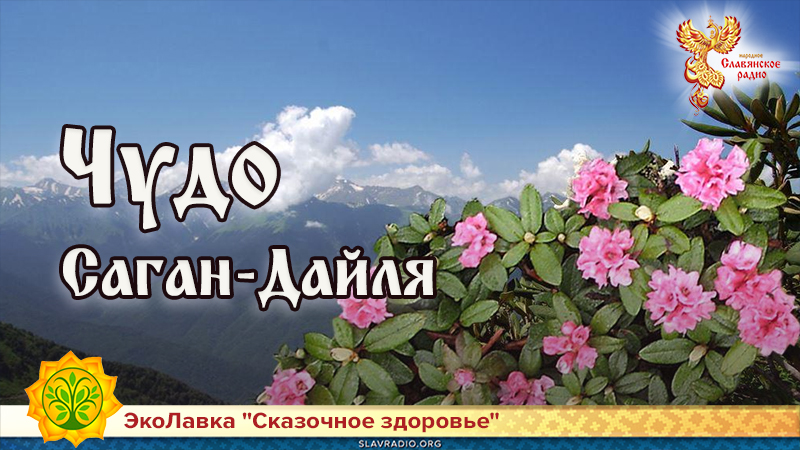 Чудо Саган-Дайля