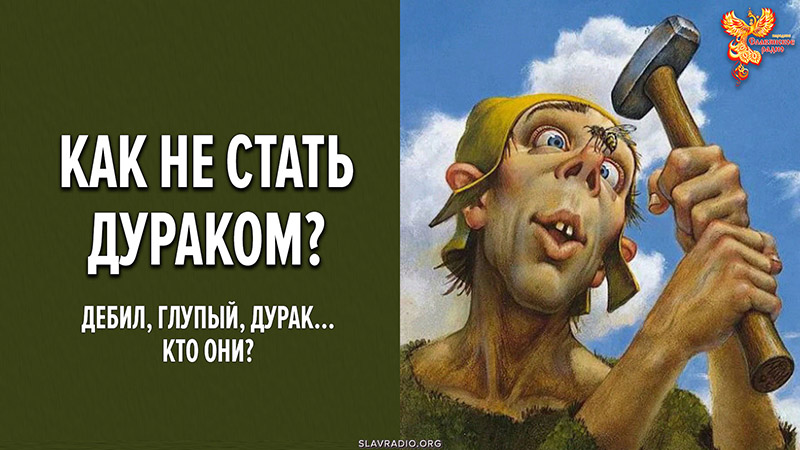 Полная версия вебинара &laquo;Как не стать дураком? Дебил, глупый, дурак &mdash; кто они?&raquo;