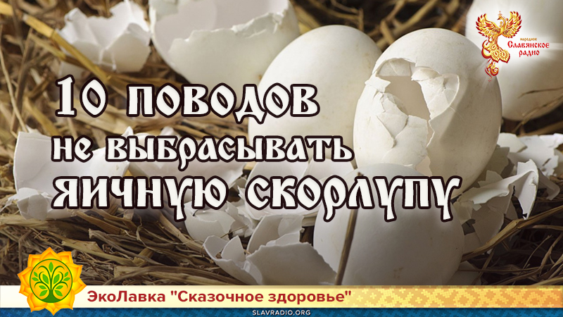 10 поводов не выбрасывать яичную скорлупу
