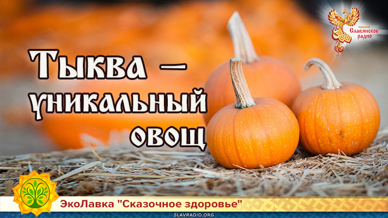 Тыква &mdash; уникальный овощ